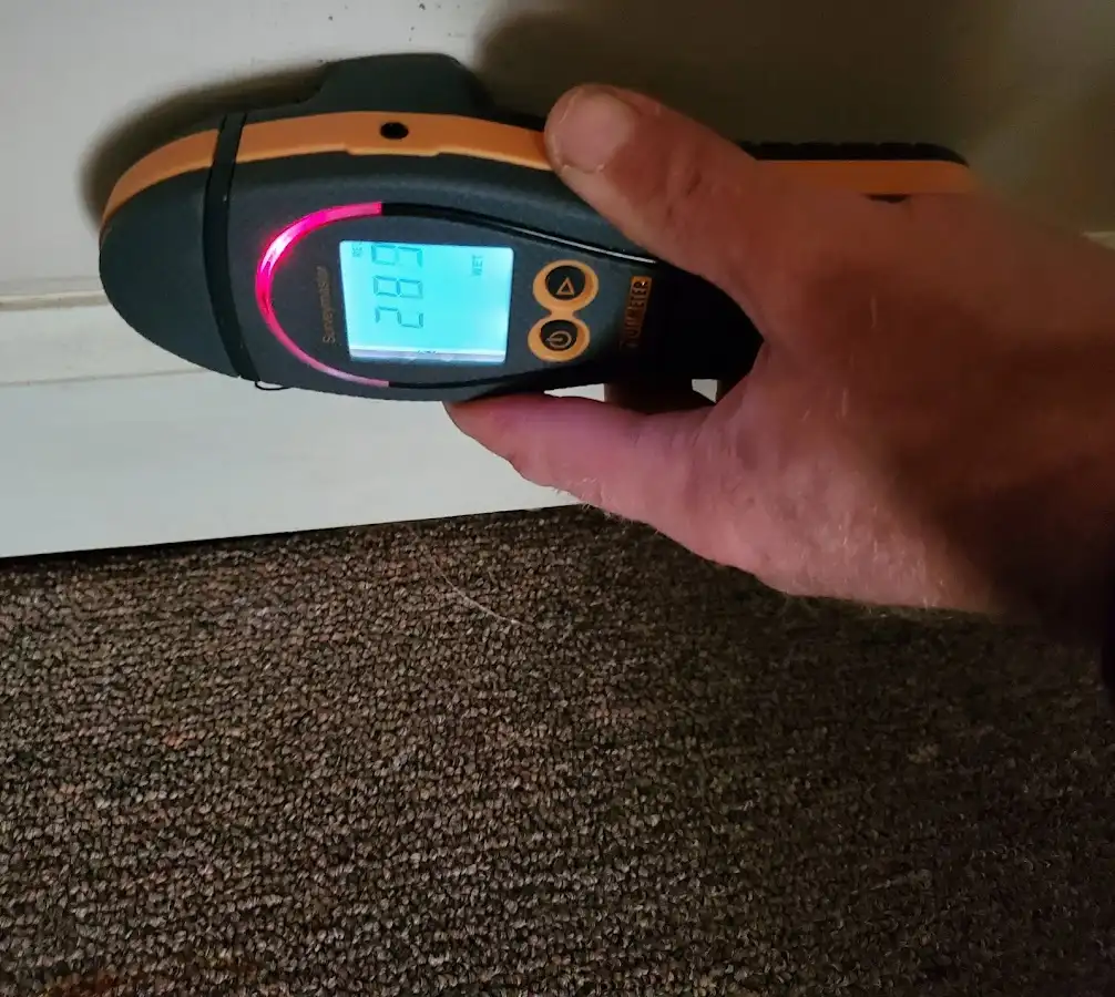 Moisture detection at baseboard during Sewage Cleanup & Sanitation in Springfield